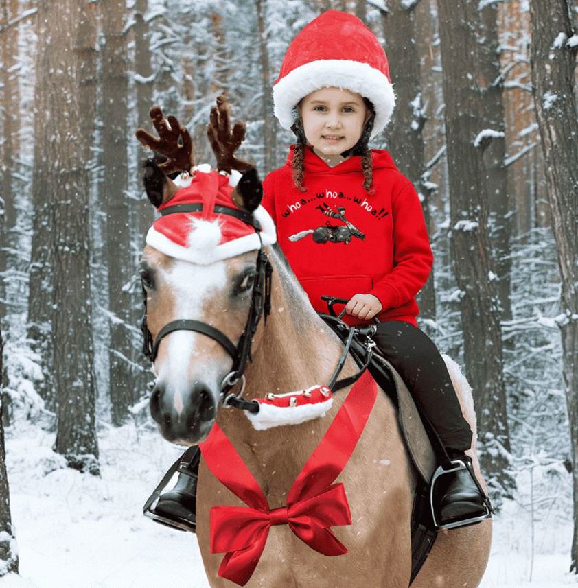 Red Equetech Junior Whoa! Horsey Christmas Hoodie
