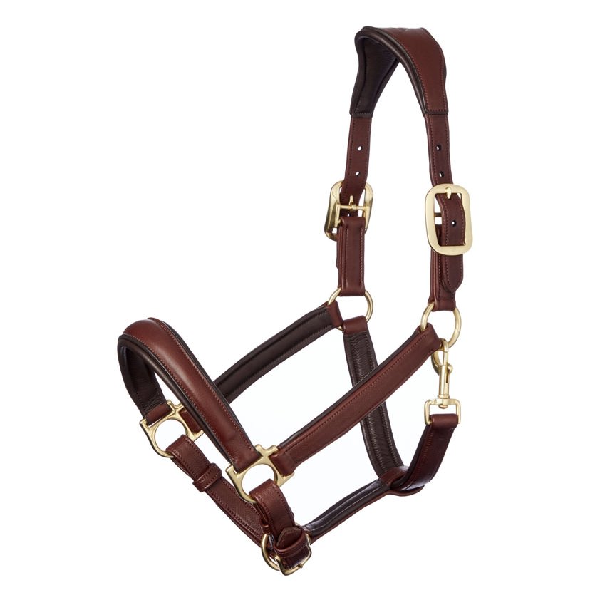 Brown LeMieux Anatomic Leather Headcollar