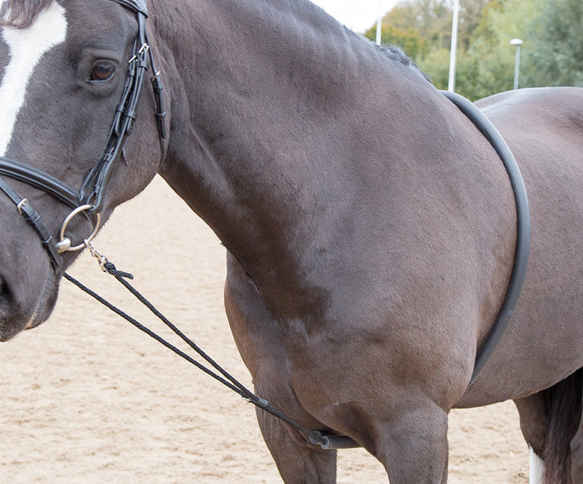 Shires Soft Lunge Aid