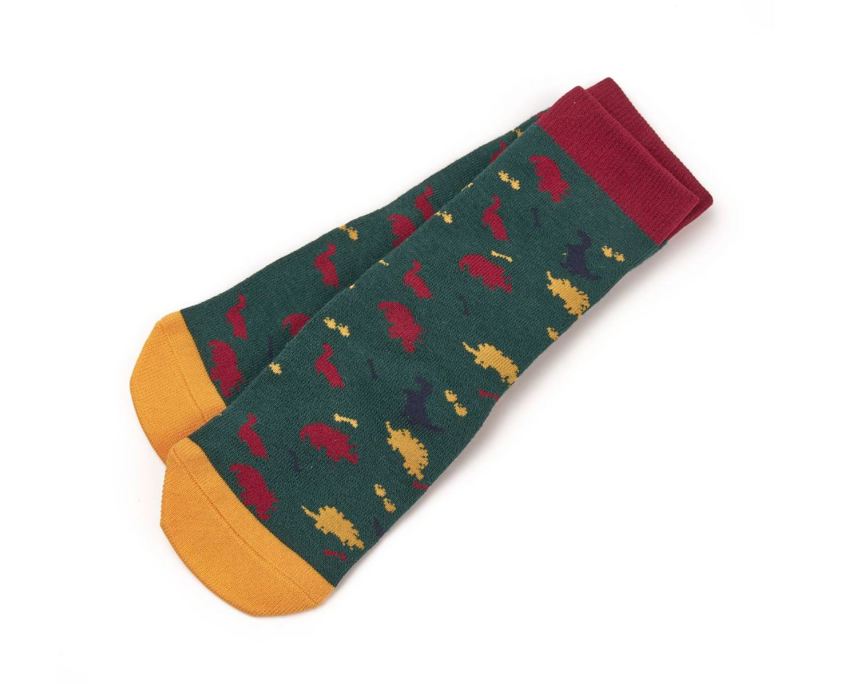 DINOSAUR Tikaboo Long Riding Socks
