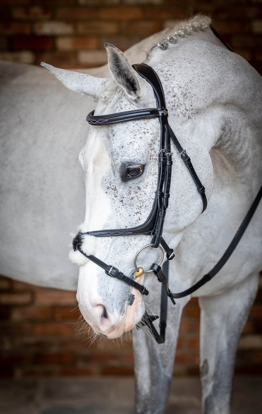 Chestnut LeMieux Kudos Grackle Bridle
