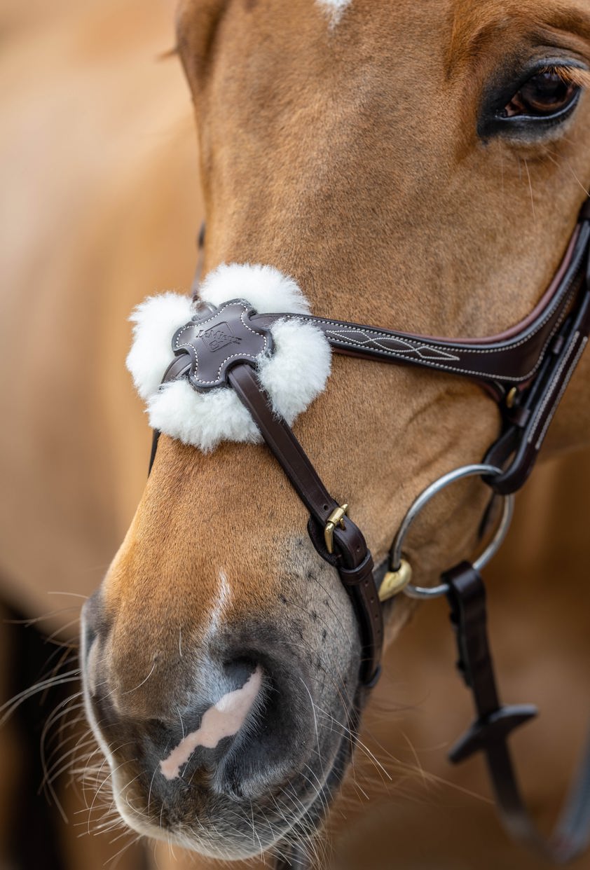 Chestnut LeMieux Kudos Grackle Bridle