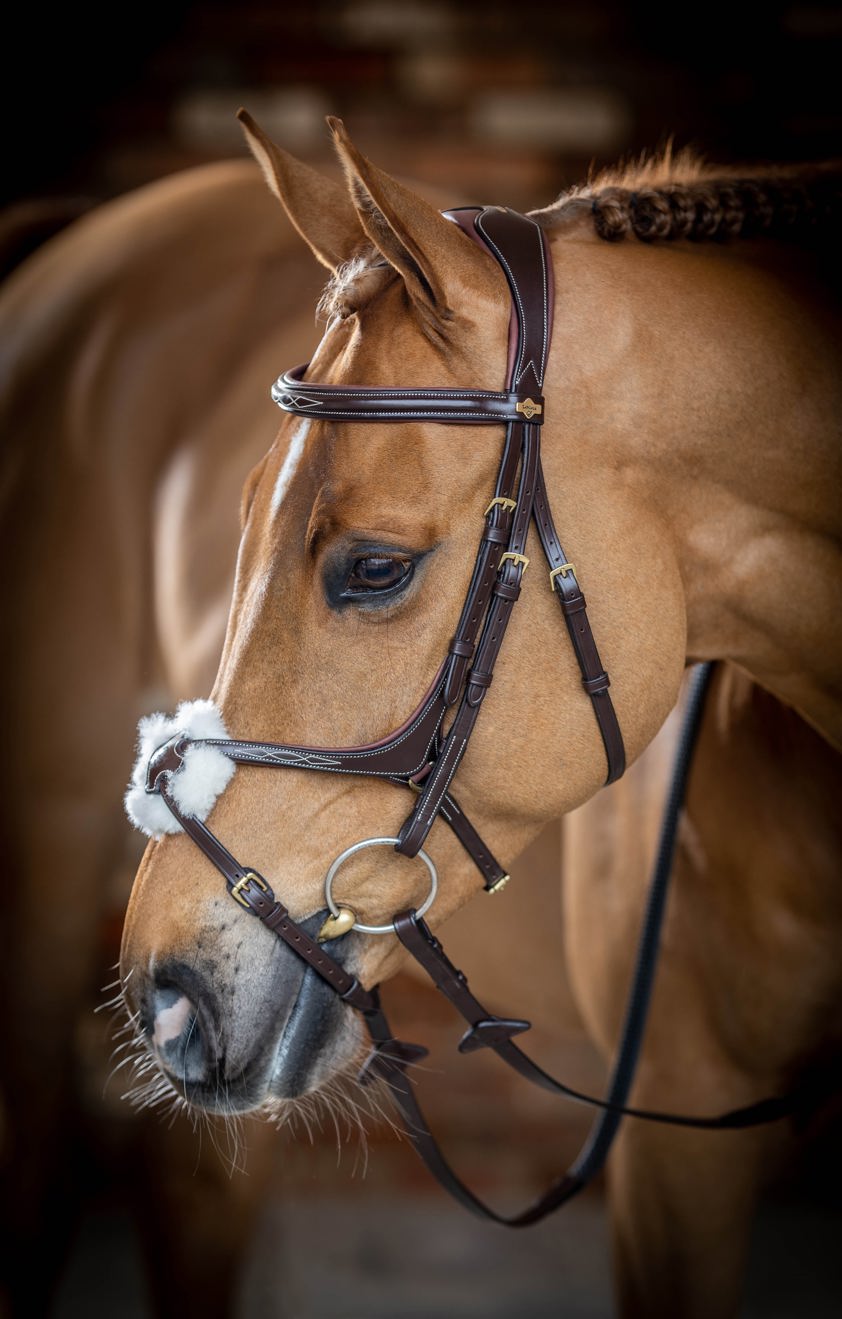 Chestnut LeMieux Kudos Grackle Bridle