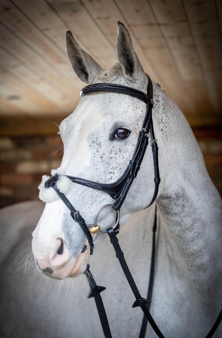 Chestnut LeMieux Kudos Grackle Bridle