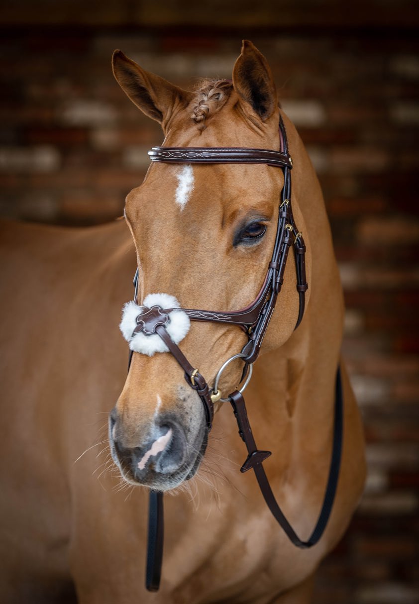 Chestnut LeMieux Kudos Grackle Bridle