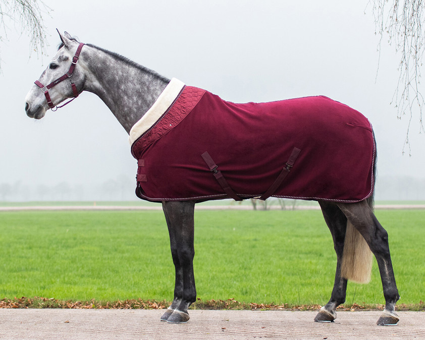 Burgundy Equipride Luxury Fleece Rug With Collar