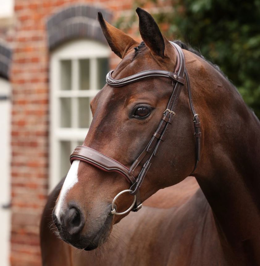 Havana Velociti Lusso Opus 180M Dressage Cavesson Bridle