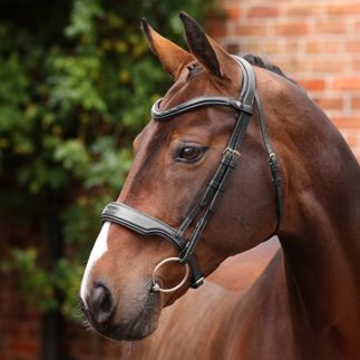 Black Velociti Lusso Opus 180M Dressage Cavesson Bridle