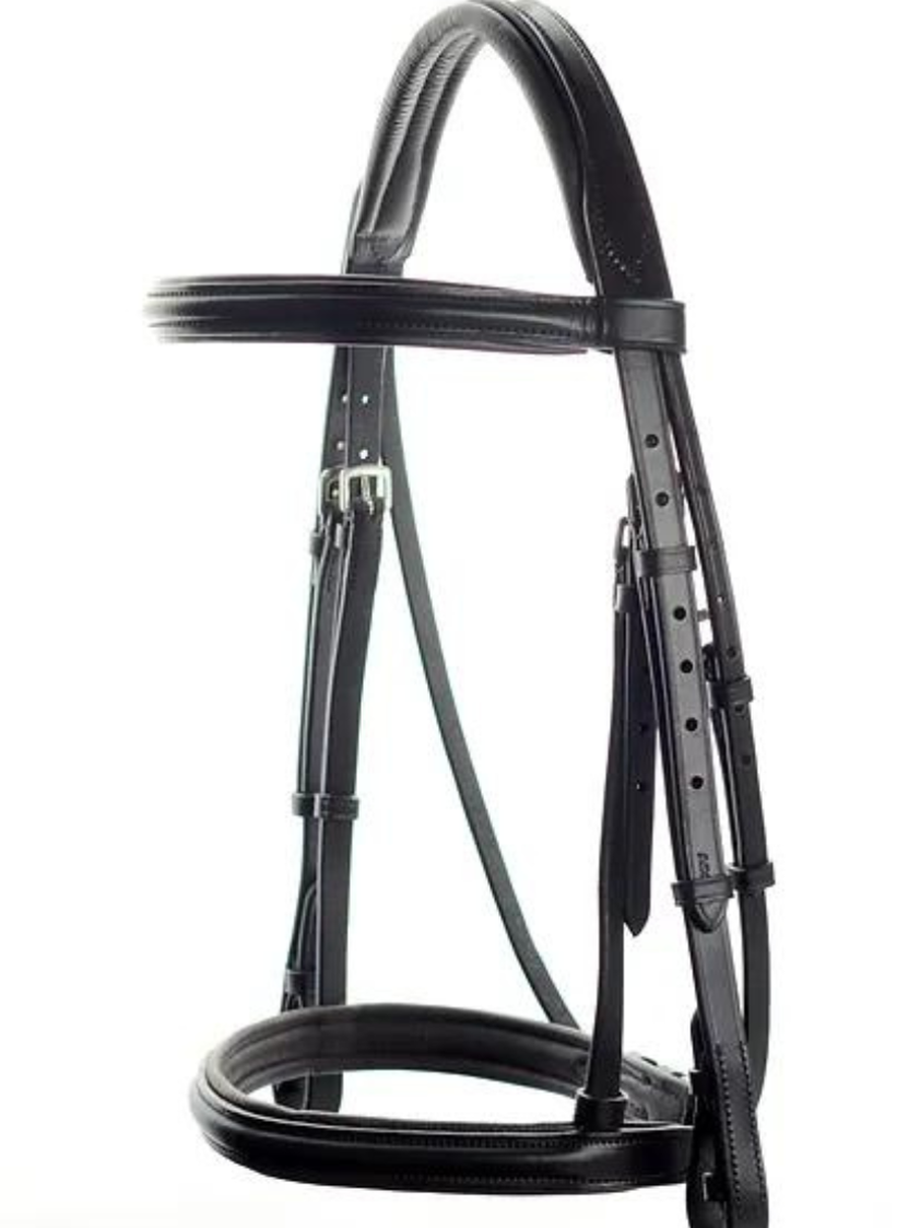 Black Ascot Comfort Show Bridle