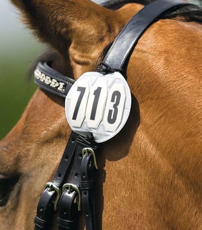 Bridle Numbers