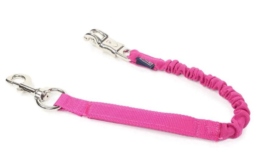Pink Webbing Tie Up Bungee