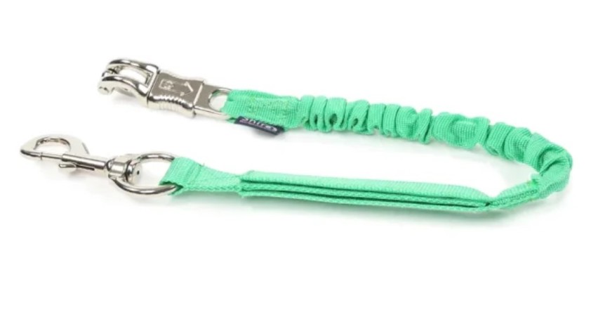 Green Webbing Tie Up Bungee