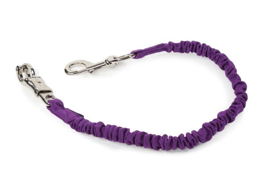 Purple Webbing Tie Up Bungee
