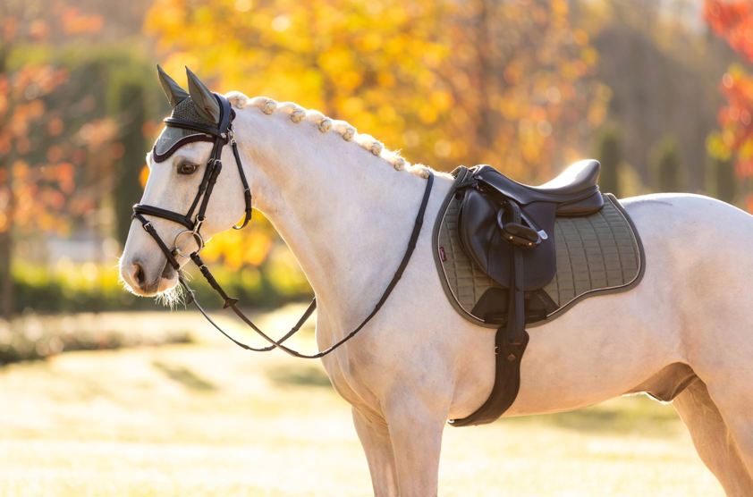 Rosemary LeMieux GP Suede Square Saddlecloth