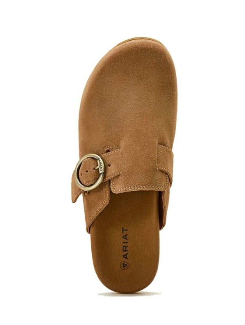 Caramel Suede Ariat Country Mule