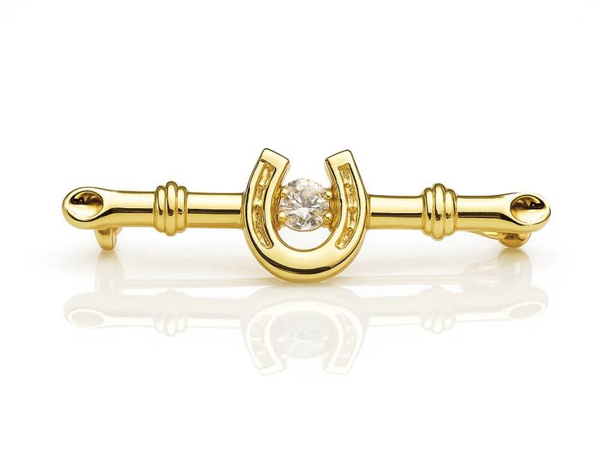 Equetech Horseshoe Deluxe Stock Pin