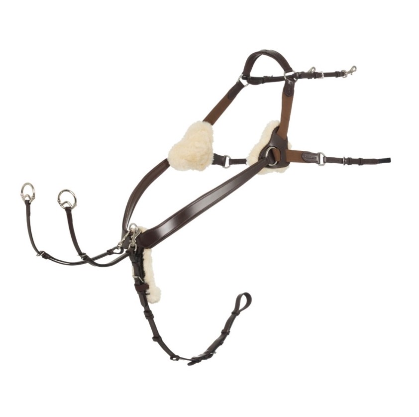 Havana LeMieux Kudos 5 Point Bridge Breastplate