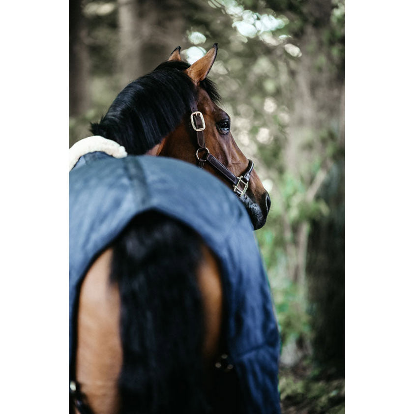 Black Kentucky Lightweight Stable Rug 0g