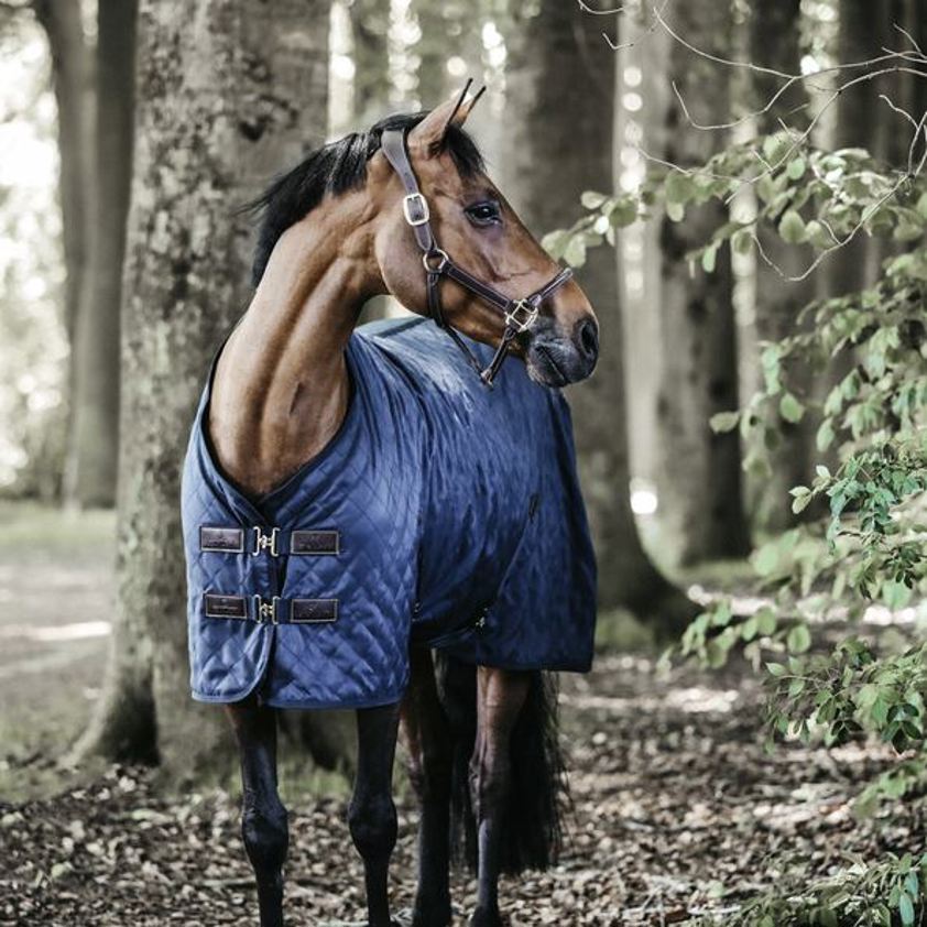 Black Kentucky Lightweight Stable Rug 0g