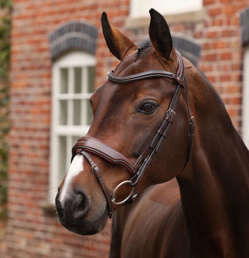 Havana Velociti Lusso Opus 180M Dressage Flash Bridle