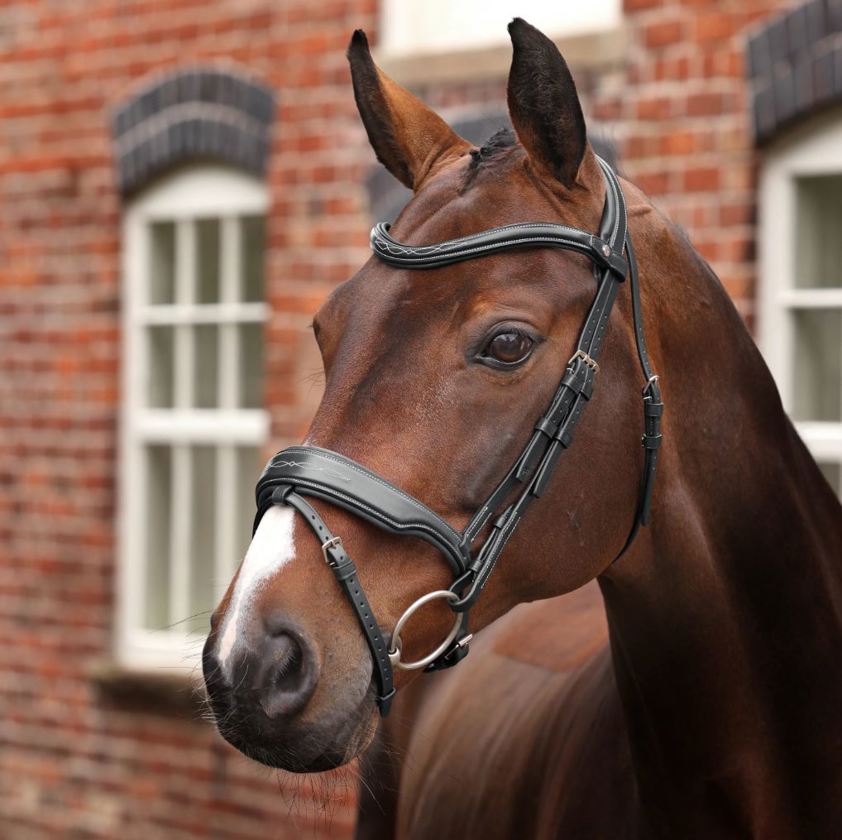 Black Velociti Lusso Opus 180M Dressage Flash Bridle