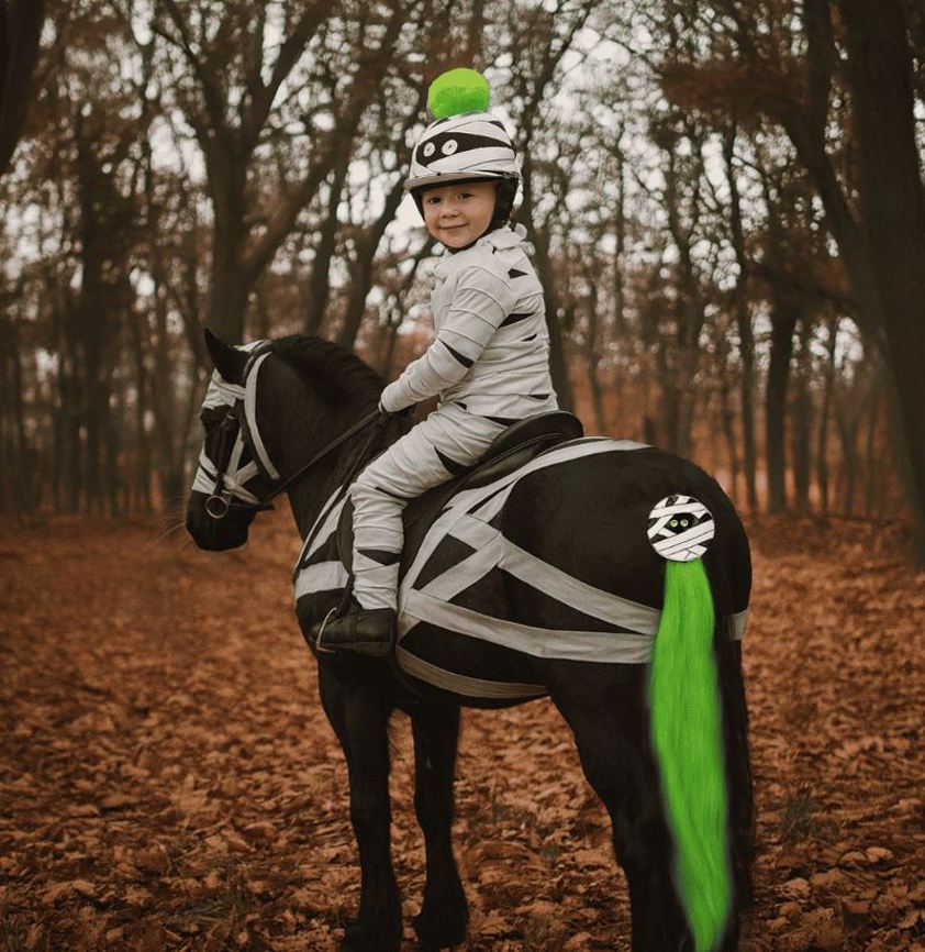 Mummy Mayhem Halloween Hat Silks