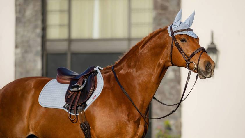 Navy/Cranberry LeMieux Close Contact Suede Saddlecloth