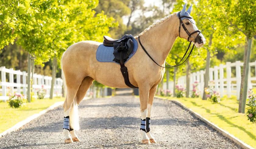 Powder Blue LeMieux Close Contact Suede Saddlecloth
