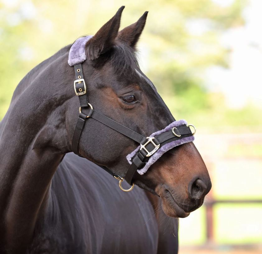 Black Arma Fleece Lined Lunge Cavesson