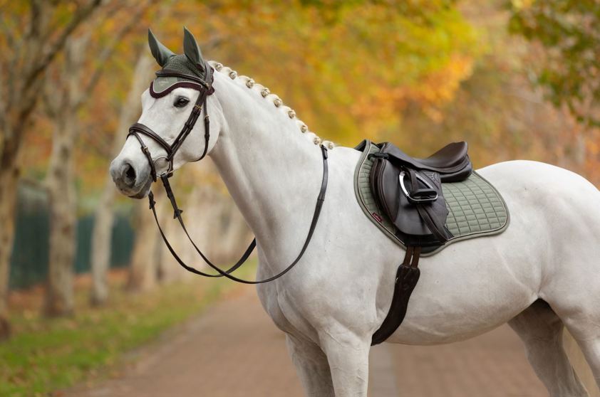 Rosemary LeMieux Classic Lycra Fly Hood