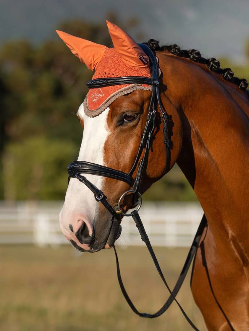 Apricot LeMieux Classic Lycra Fly Hood