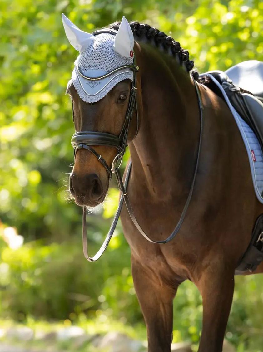 Powder Blue LeMieux Classic Lycra Fly Hood