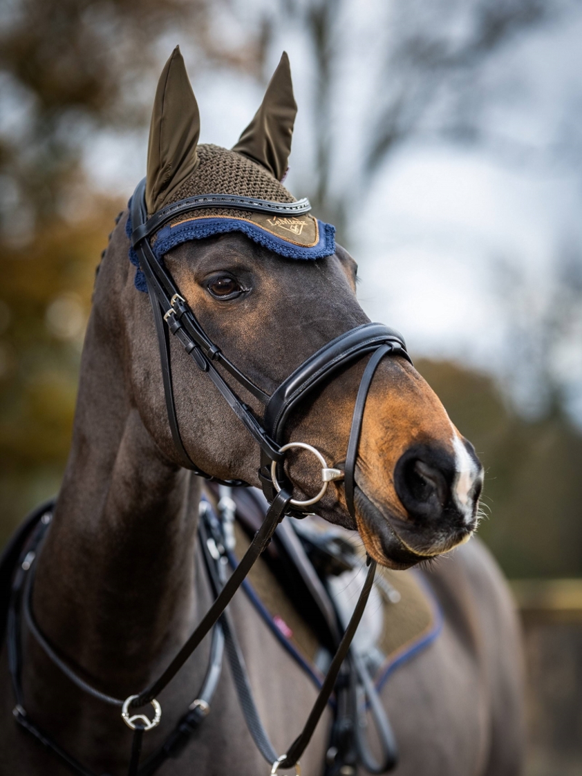 Alpine LeMieux Classic Lycra Fly Hood