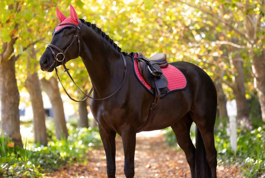Cranberry LeMieux Classic Lycra Fly Hood