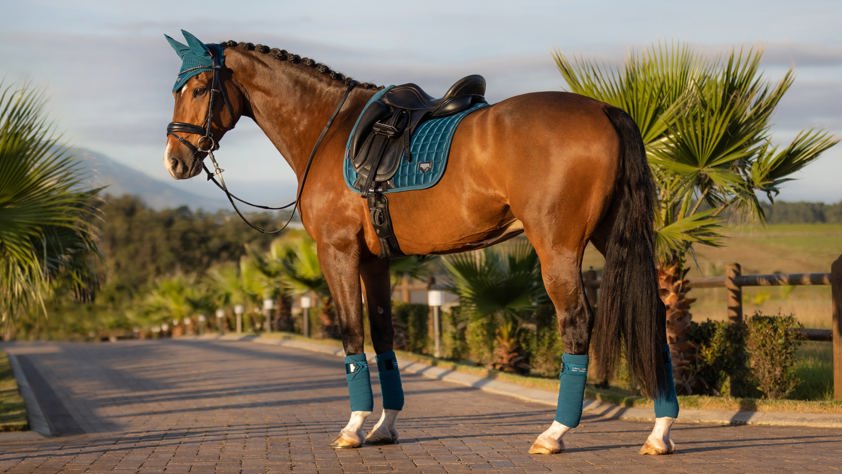 Black LeMieux Dressage Loire Satin Saddlecloth