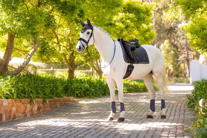 Black LeMieux Dressage Loire Satin Saddlecloth