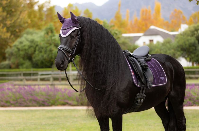 Juniper LeMieux Dressage Loire Satin Saddlecloth