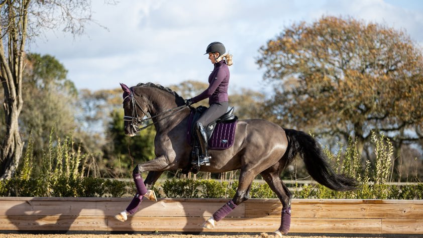 Black LeMieux Dressage Loire Satin Saddlecloth