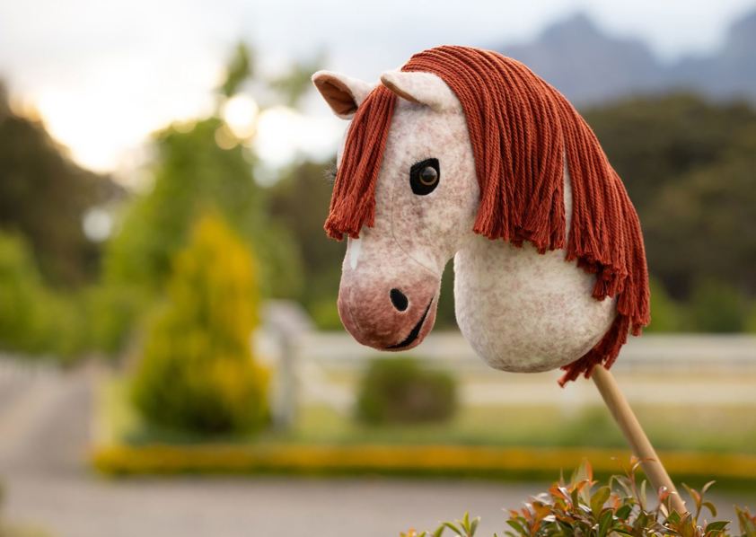 Poppy LeMieux Hobby Horse