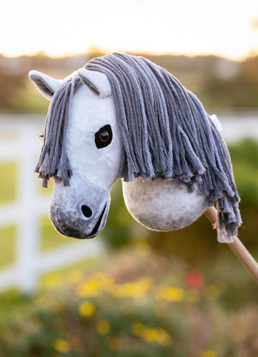 Earl LeMieux Hobby Horse
