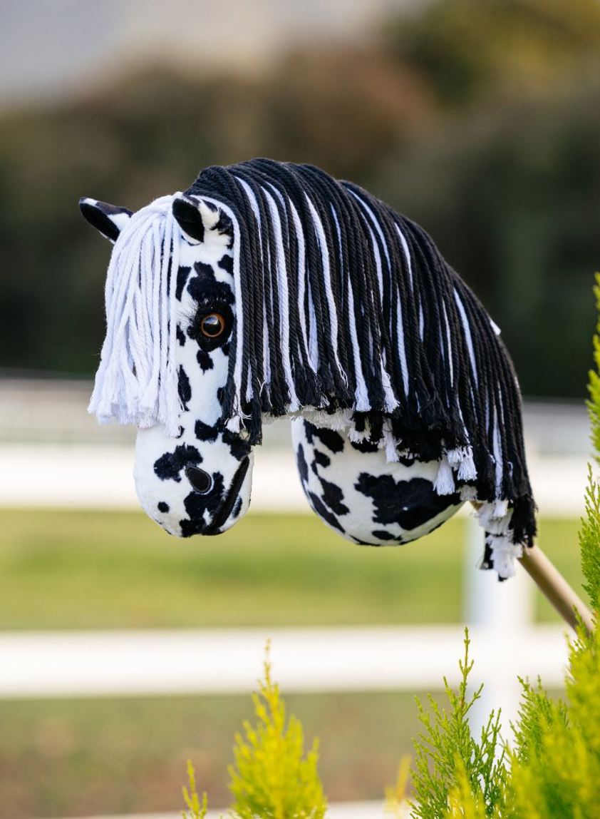Dakota LeMieux Hobby Horse