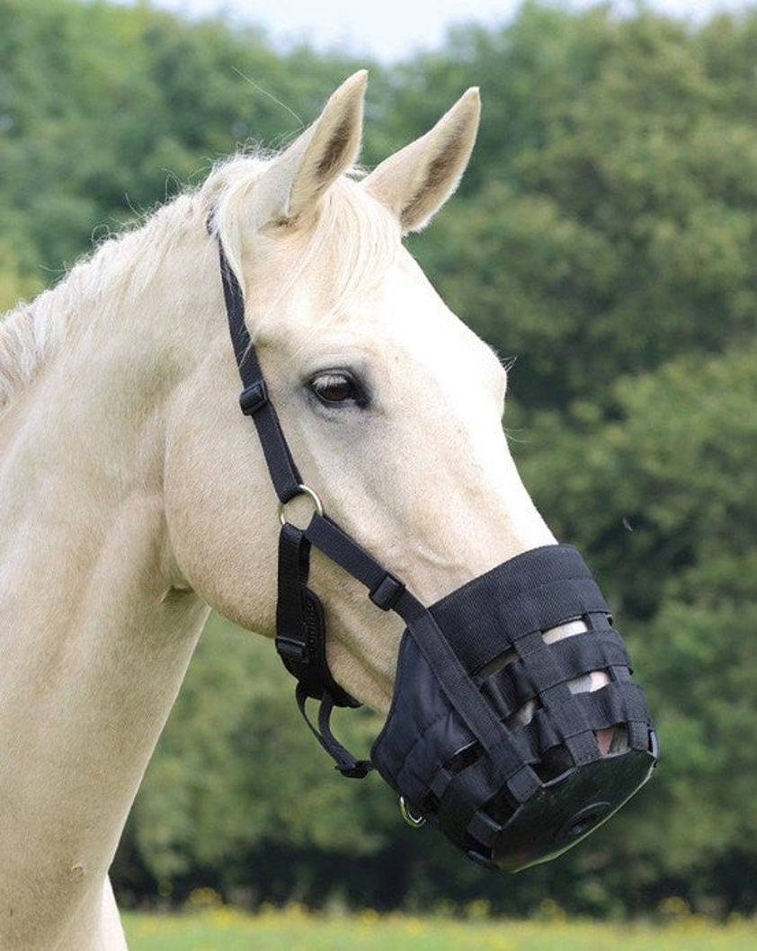 Black Shires Comfort Grazing Muzzle