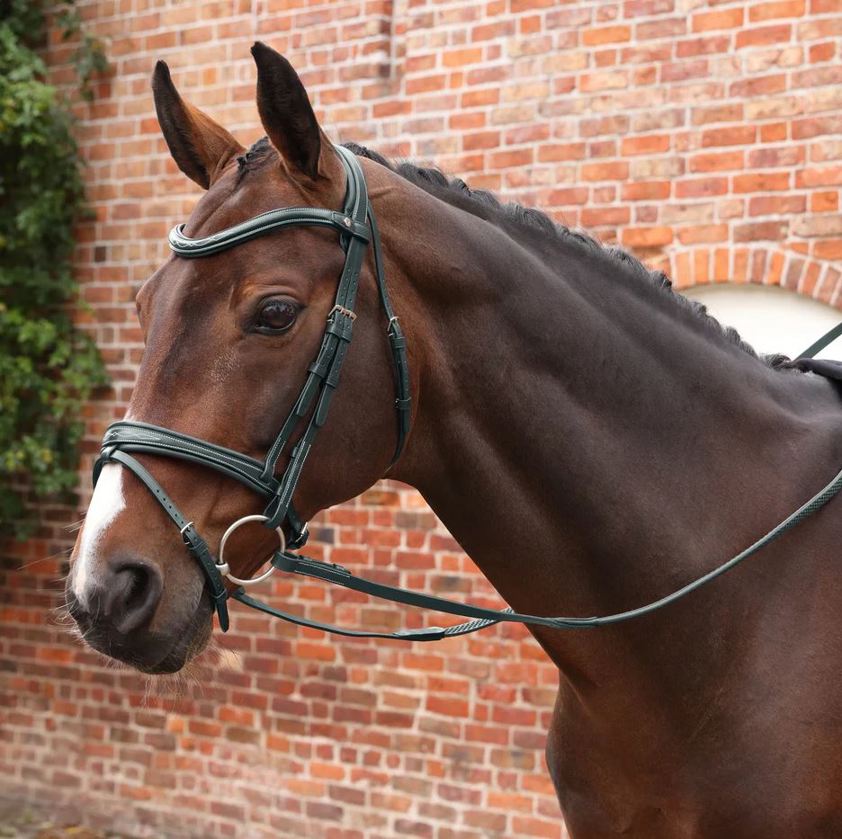 Havana Velociti Lusso Opus Soft Grip Reins