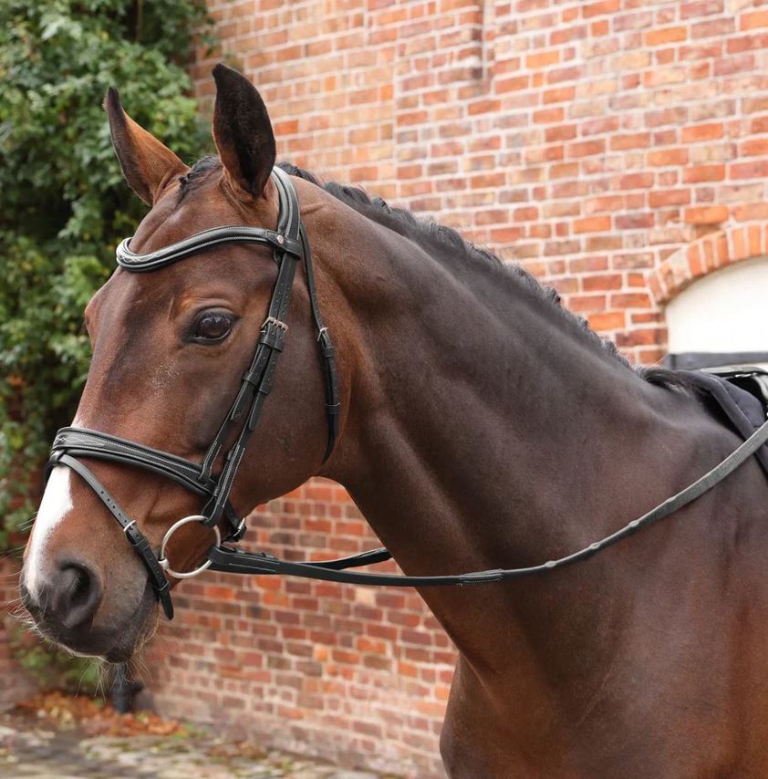 Black Velociti Lusso Opus Soft Grip Reins