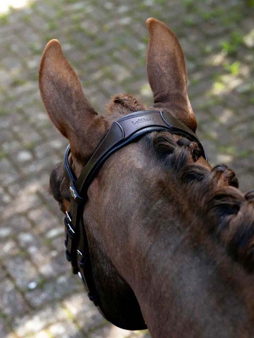 Brown/Silver Arika Flash Bridle