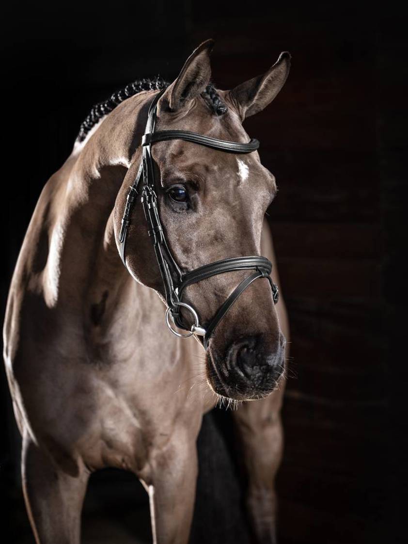 Black/Silver Arika Flash Bridle