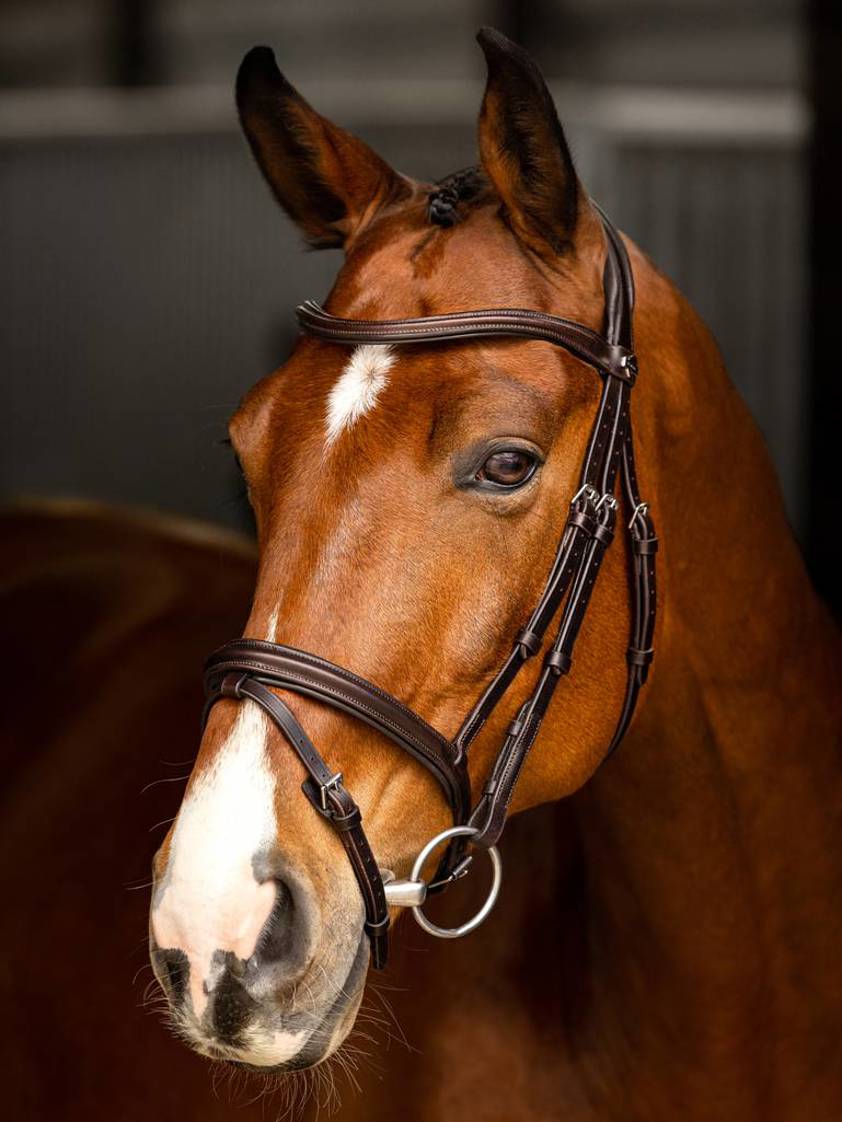 Brown/Silver Arika Flash Bridle