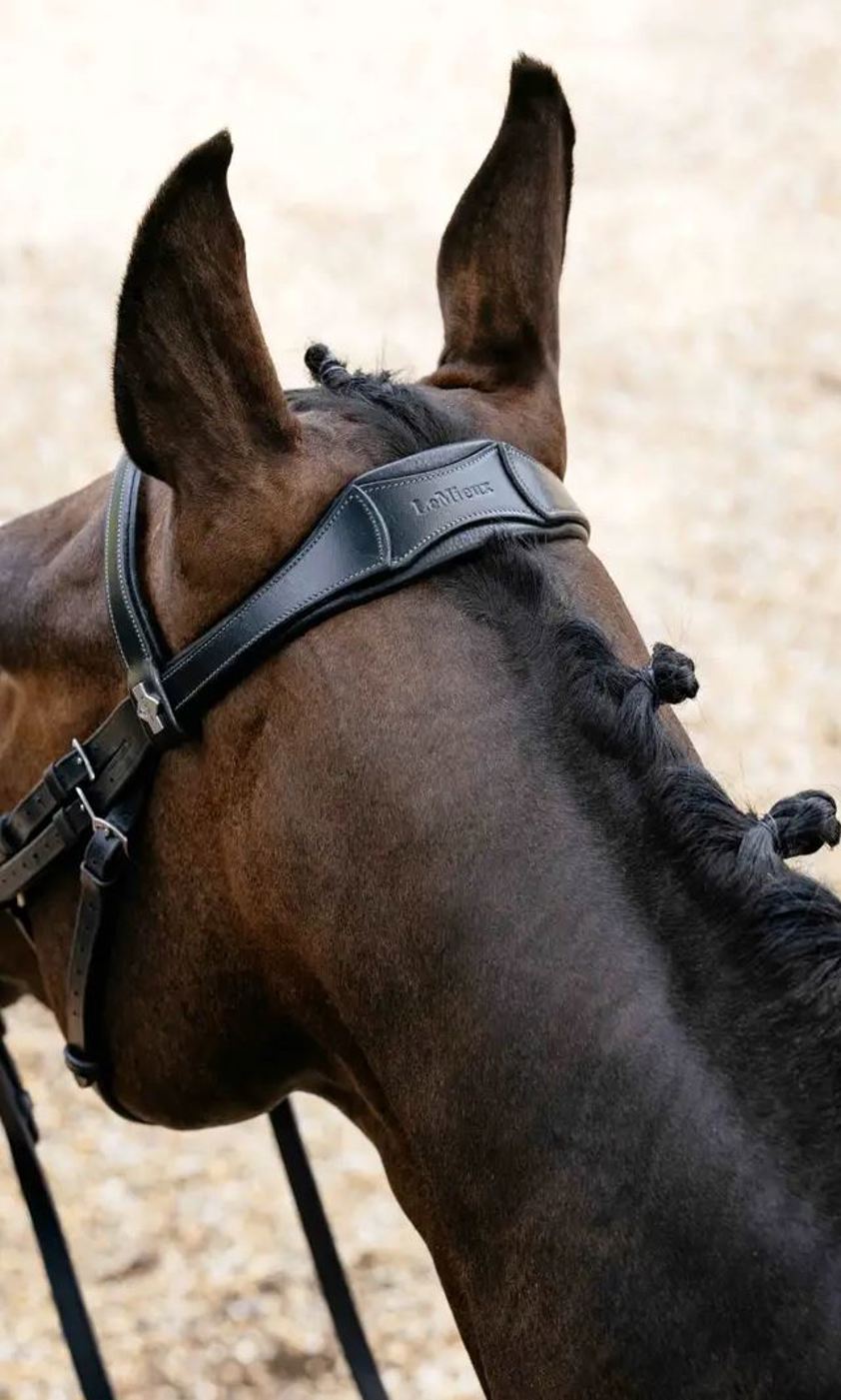Black/Silver Arika Flash Bridle