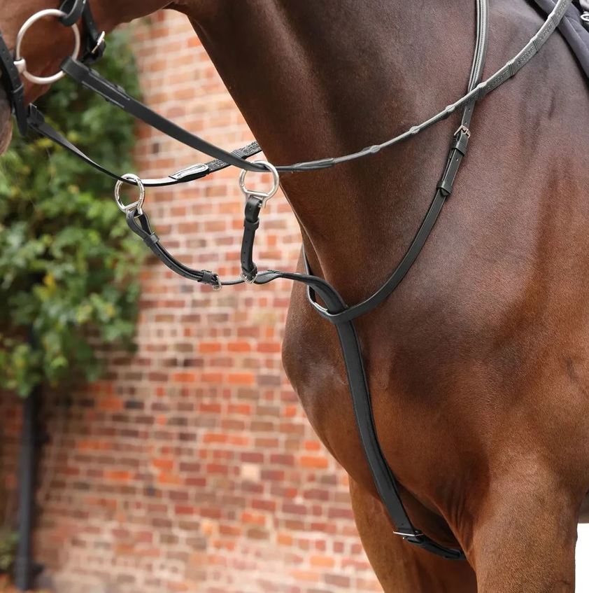 Havana Velociti Lusso Opus Running Martingale