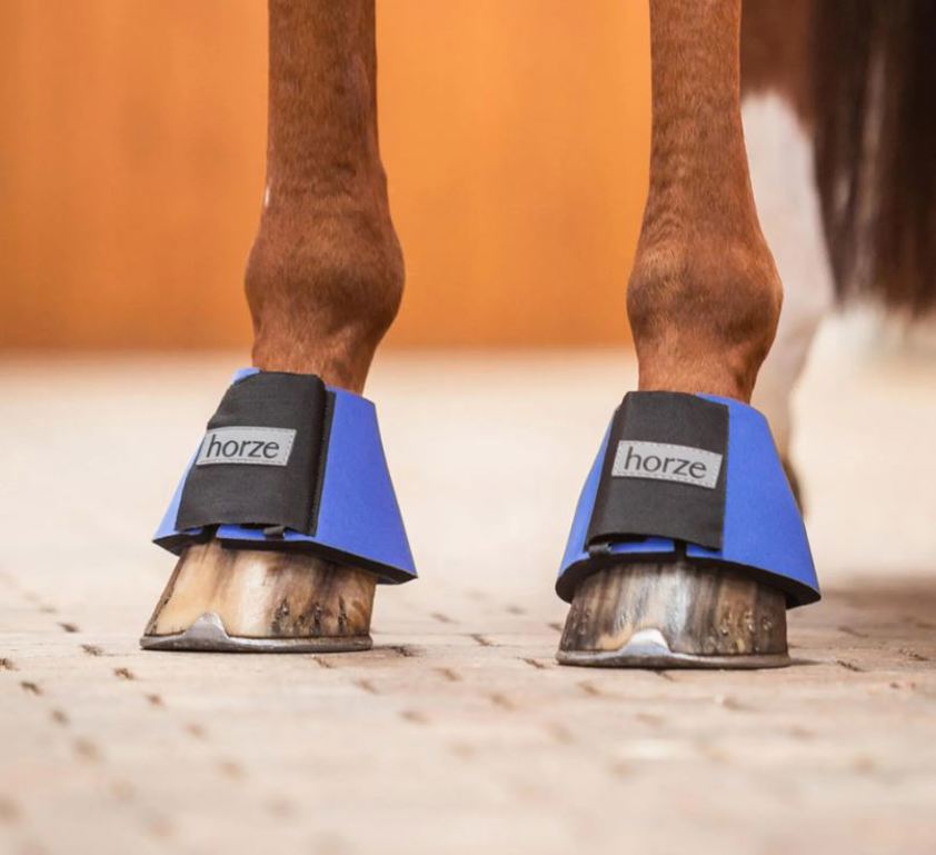 Royal Blue Horze ProBell Boots